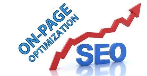 Best SEO Services in Chandigarh